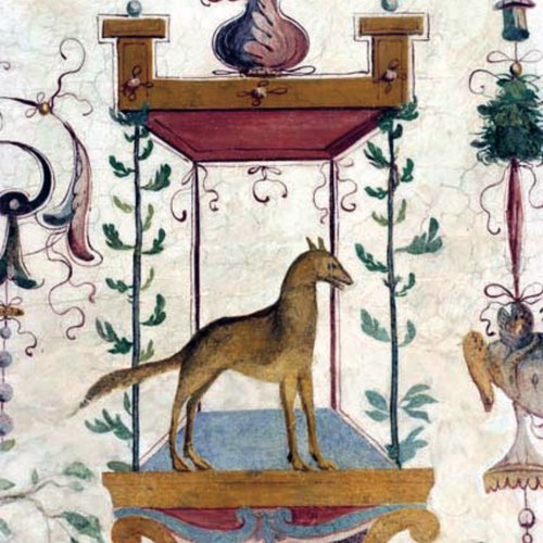 Giovanni da Udine, affreschi nella volta della Sala Azzurra, sec. XVI, particolari