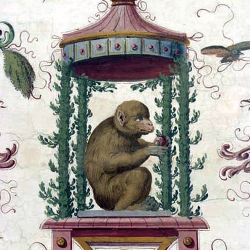 Giovanni da Udine, affreschi nella volta della Sala Azzurra, sec. XVI, particolari