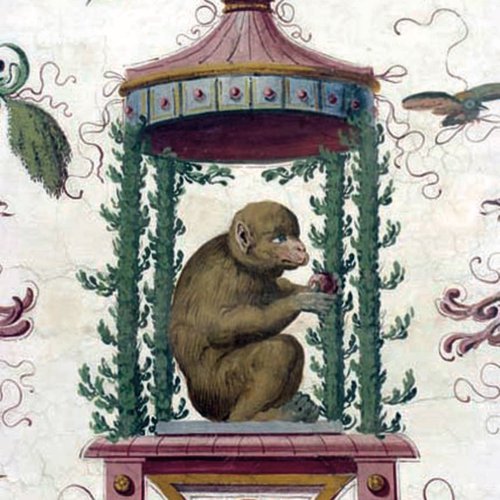 Giovanni da Udine, affreschi nella volta della Sala Azzurra, sec. XVI, particolari