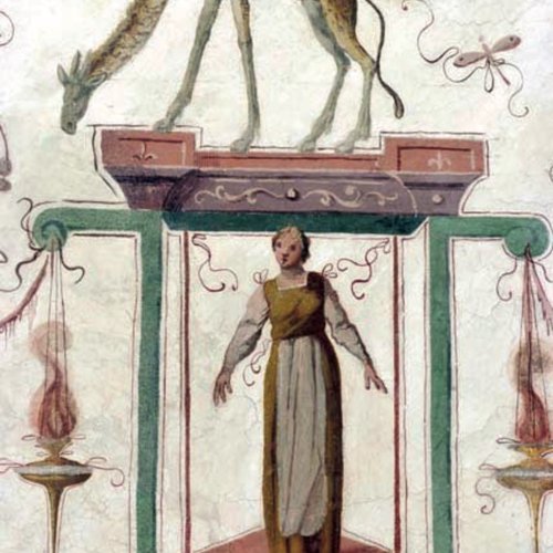 Giovanni da Udine, affreschi nella volta della Sala Azzurra, sec. XVI, particolari