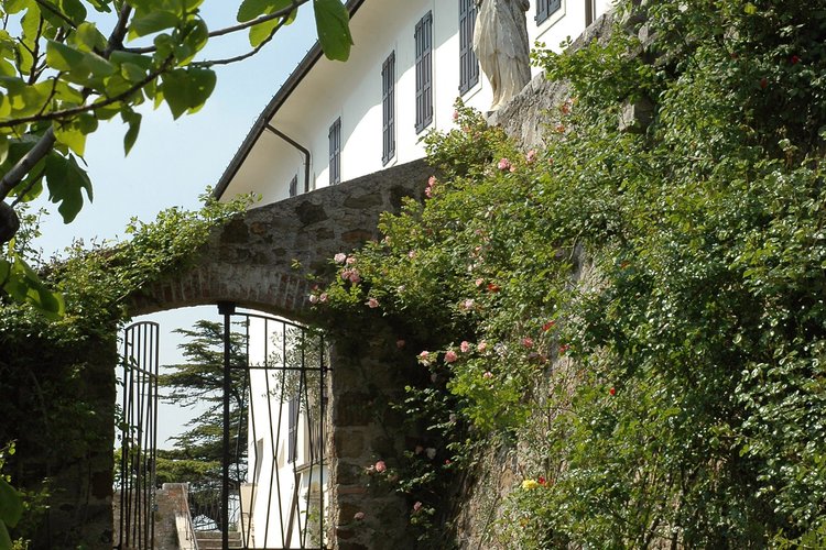 Rose lungo le mura perimetrali