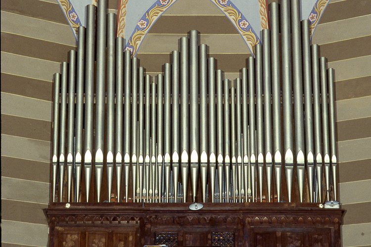 Duomo Mortegliano, Organo