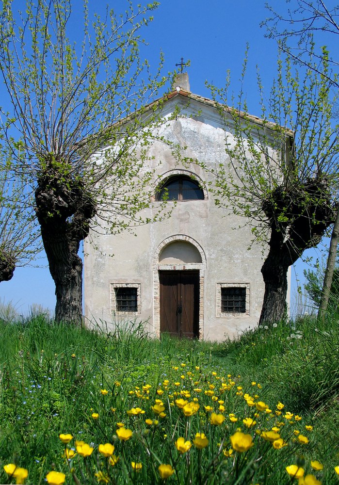 La Chiesa campestre di San Nicolò in Arnaces, Mortegliano