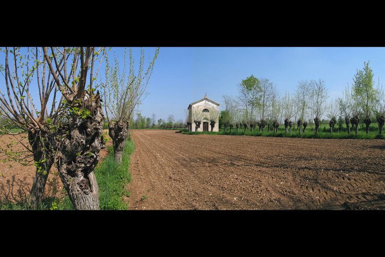 La Chiesa campestre di San Nicolò in Arnaces, Mortegliano