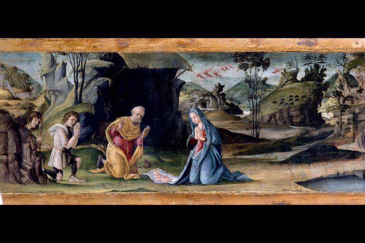 Pellegrino da San Daniele, San Giuseppe con il Bambino, 1500-1501, predella, Adorazione del bambino